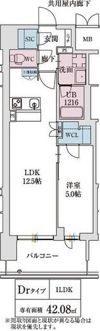 スプランディッド本町グランの間取り画像