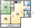 メゾンキューブの間取り画像