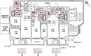 スプランディッド弁天町DUEの間取り画像