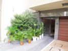アニマーレ上本町の間取り画像
