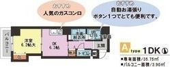 カーサ ラピスの間取り画像