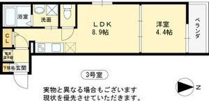 F asecia lipineの間取り画像