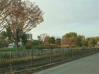 近くの船堂公園まで690m(徒歩9分)