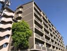 ファミール永田の間取り画像