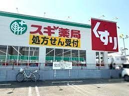 近くのスギ薬局 ひょうたん山店まで3,334m（徒歩42分）