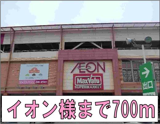 近くのイオン様まで700m(徒歩9分)