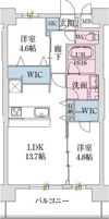スプランディッド難波VIIの間取り画像
