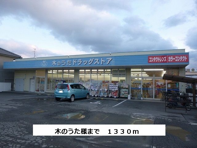 近くのファーマシー木のうたまで1,330m（徒歩17分）