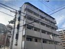 辰巳ハイツの間取り画像
