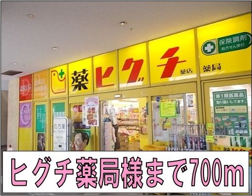 近くのヒグチ薬局様まで700m(徒歩9分)