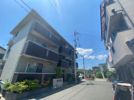 Glicinaの外観