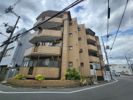 ミライ ハイム（旧：天王田ファミリーハイツ1号館）の間取り画像