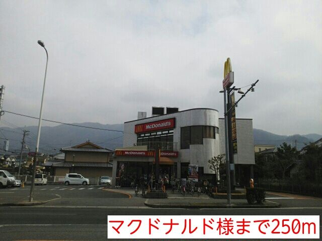 近くのマクドナルド様まで250m(徒歩4分)