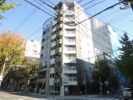 mosaiqueの外観