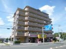 グランシャリオ（藤井寺）の外観