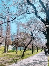 近くの桜ノ宮東公園まで1,020m(徒歩13分)