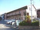新ハイツウグイス B棟の外観