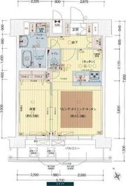 プレサンスOSAKA DOMECITYビーツの間取り画像