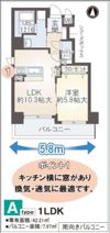 ブエナビスタ長居の間取り画像