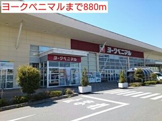 近くのヨークベニマルまで880m（徒歩11分）