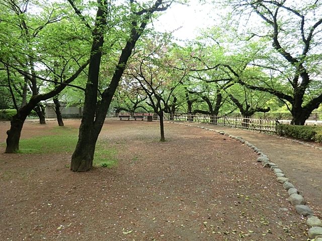 近くの哲学堂公園まで450m（徒歩6分）