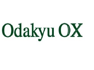 近くのOdakyu OX（オダキュウ オーエックス） 読売ランド店まで525m（徒歩7分）