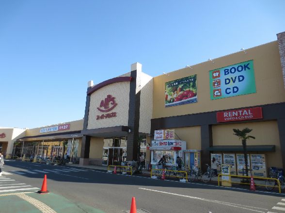 近くのスーパーアルプス 入間下藤沢店まで576m（徒歩8分）