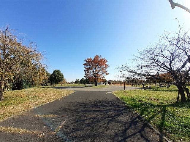 近くの舎人公園まで750m（徒歩10分）