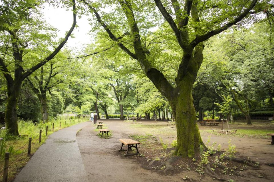 近くの善福寺公園まで553m（徒歩7分）