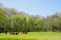 近くの都立滝山自然公園まで912m（徒歩12分）