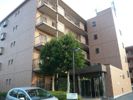 アヴェニール竹丘の間取り画像