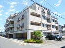 KOUJIYA七番館の間取り画像