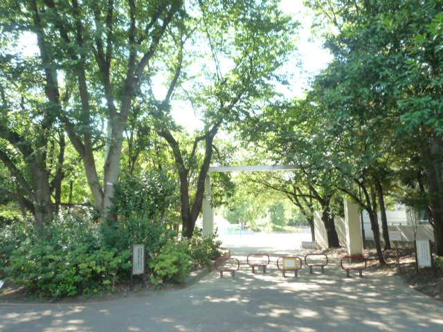 近くの杉並区 蚕糸の森公園まで876m（徒歩11分）
