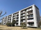 富士見町住宅33号棟の間取り画像