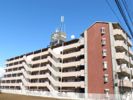 日神パレステージ玉川上水の間取り画像