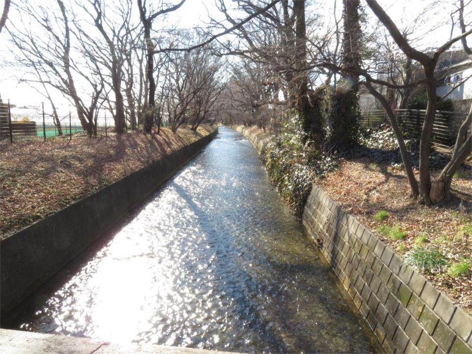 近くの玉川上水まで80m（徒歩1分）