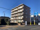 パールレジデンス花小金井の間取り画像