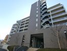 アソシエール西船橋の間取り画像