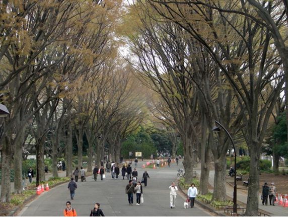近くの駒沢オリンピック公園まで617m（徒歩8分）