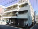 ステラ マリス 横浜IIの間取り画像
