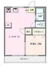 メゾンいしかわの間取り画像