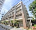 ニューシティアパートメンツ亀戸の間取り画像