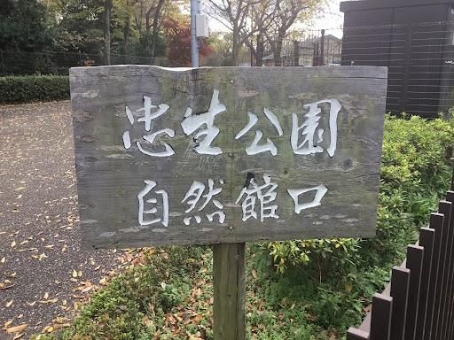 近くの忠生公園まで345m（徒歩5分）