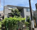 サザンワイズの間取り画像