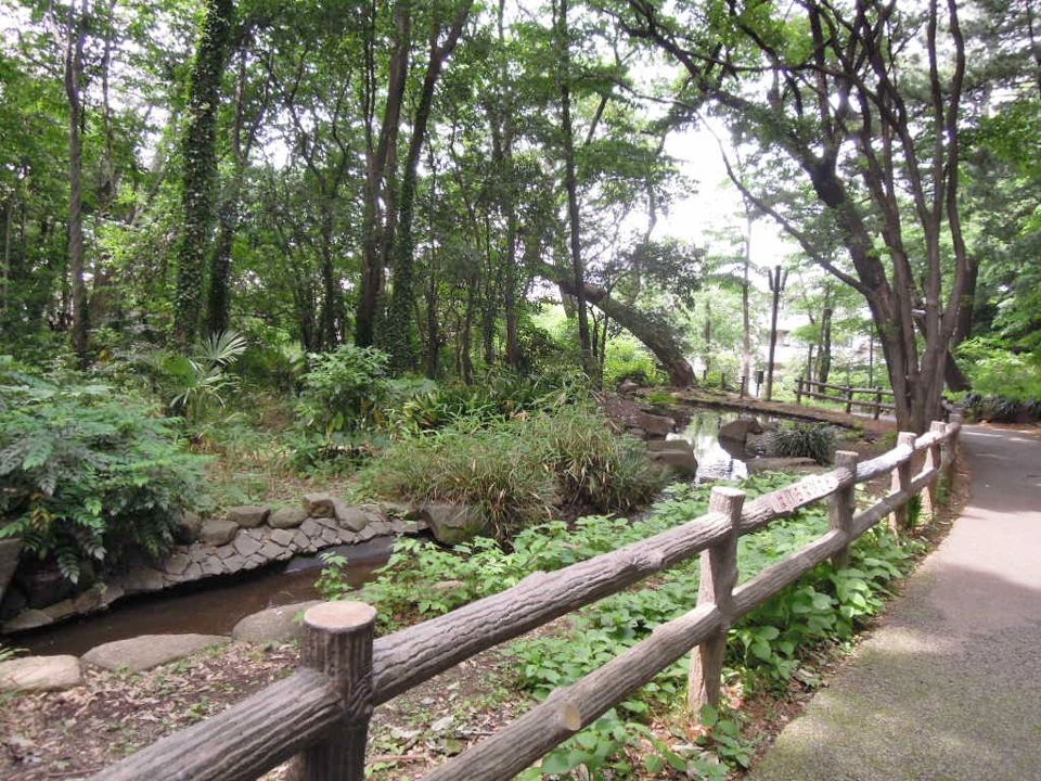 近くの林試の森公園まで694m（徒歩9分）