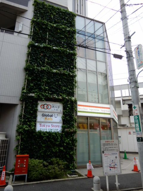 近くの東急ストアフードステーション中延店まで220m（徒歩3分）