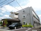 モヤ コリバの間取り画像