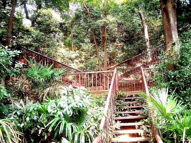 近くの上野毛自然公園まで1,200m（徒歩15分）
