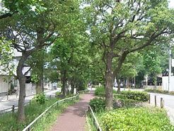 近くの馬込ゆりの木公園まで161m（徒歩3分）