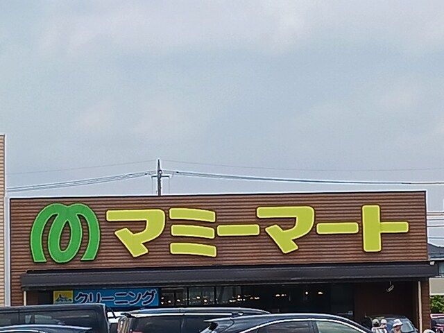 近くのマミーマートまで397m(徒歩5分)